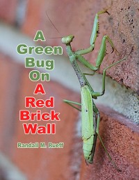 Cover Green Bug On A Red Brick Wall