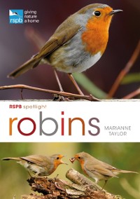 Cover RSPB Spotlight: Robins