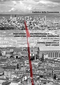 Cover Development and preservation in large cities: an international perspective