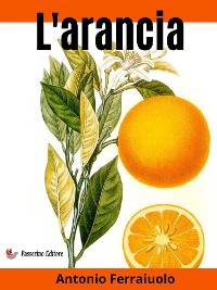Cover L'arancia