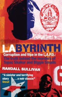 Cover LAbyrinth