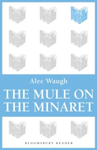 Cover Mule on the Minaret