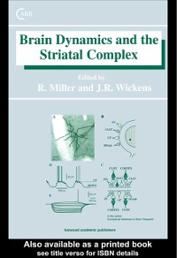 Cover Brain Dynamics and the Striatal Complex