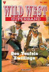 Cover Des Teufels Zwillinge