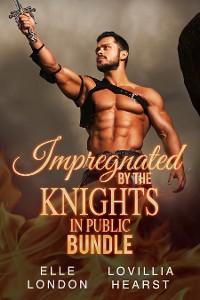 Cover Impregnated By The Knights In Public Bundle