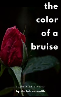 Cover Color of a Bruise: Queer Kink Erotica
