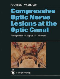 Cover Compressive Optic Nerve Lesions at the Optic Canal