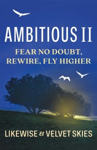Cover Ambitious II : Fear No Doubt, Rewire, Fly Higher