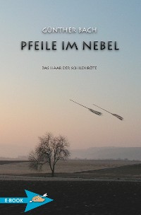 Cover Pfeile Im Nebel