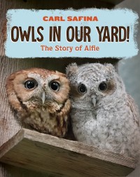 Cover Owls in Our Yard!: The Story of Alfie