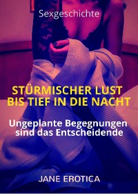 Cover Sexgeschichte: Stürmischer Lust bis tief in die Nacht