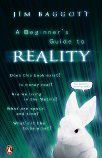 Cover Beginner's Guide to Reality