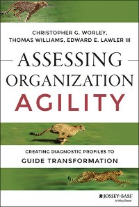 Cover Assessing Organization Agility