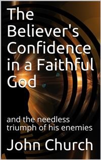 Cover The Believer's Confidence in a Faithful God / and the needless triumph of his enemies