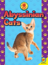 Cover Abyssinian Cats