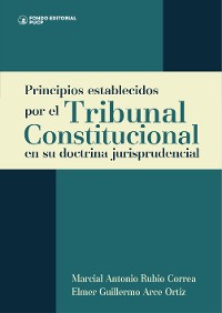 Cover Principios establecidos por el Tribunal Constitucional en su doctrina jurisprudencial