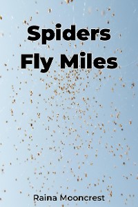 Cover Spiders Fly Miles