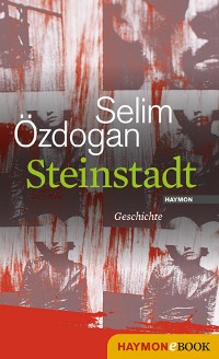 Cover Steinstadt