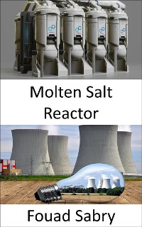 Cover Molten Salt Reactor