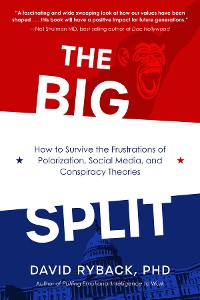 Cover The Big Split