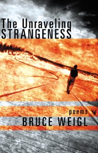 Cover Unraveling Strangeness