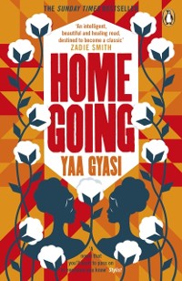 Cover Homegoing