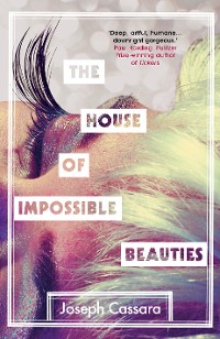 Cover House of Impossible Beauties