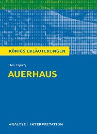 Cover Auerhaus. Königs Erläuterungen.