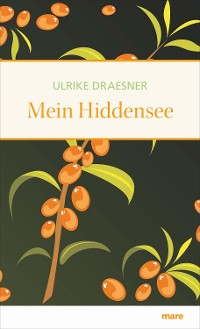 Cover Mein Hiddensee