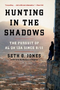 Cover Hunting in the Shadows: The Pursuit of al Qa'ida since 9/11