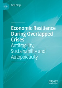 Cover Economic Resilience During Overlapped Crises