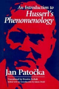 Cover Introduction to Husserl's Phenomenology