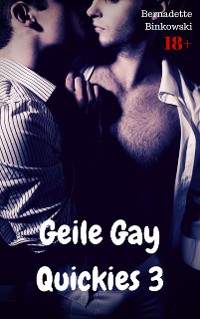 Cover Geile Gay Quickies 3