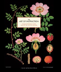 Cover Art of Instruction
