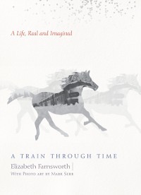 Cover Train through Time