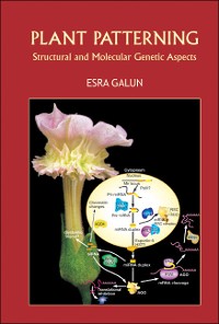 Cover Plant Patterning: Structural And Molecular Genetic Aspects