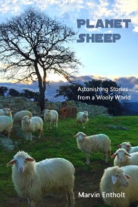 Cover Planet Sheep