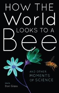 Cover How the World Looks to a Bee