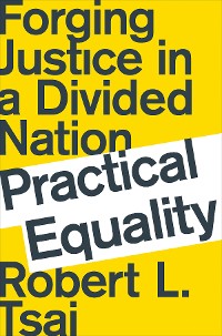 Cover Practical Equality: Forging Justice in a Divided Nation
