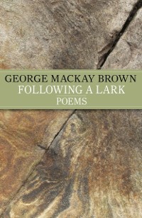 Cover Following A Lark