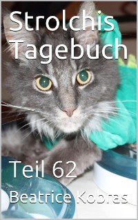 Cover Strolchis Tagebuch - Teil 62