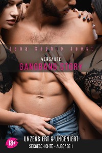 Cover Gangbang Story - Ausgabe 1