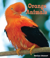Cover Orange Animals