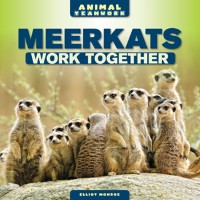 Cover Meerkats Work Together