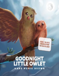 Cover Goodnight Little Owlet