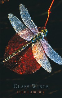Cover Glass Wings
