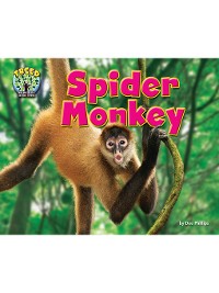 Cover Spider Monkey