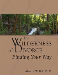 Cover The Wilderness of Divorce : Finding Your Way