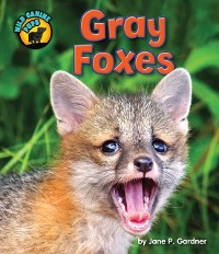 Cover Gray Foxes