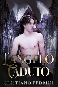 Cover L'angelo caduto